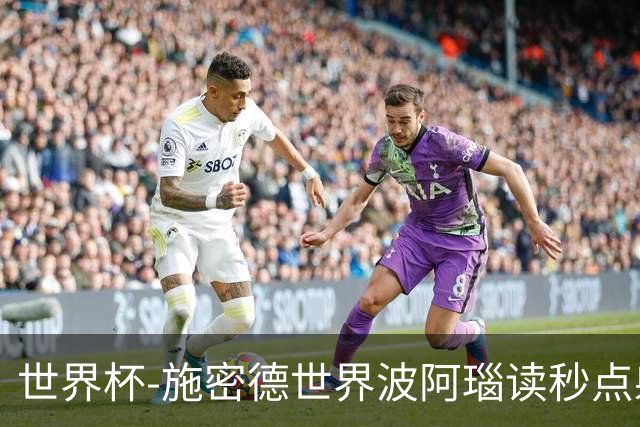 世界杯-施密德世界波阿瑙读秒点射破门 奥地利3-1约旦