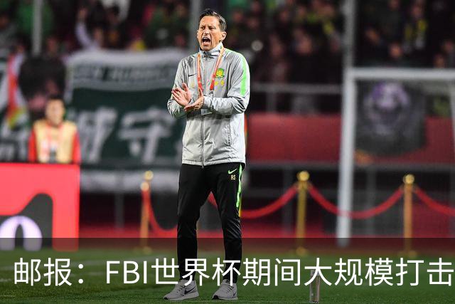 邮报：FBI世界杯期间大规模打击无人机活动，一名非法移民被捕